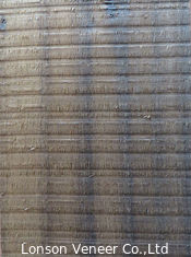 O eucalipto Fumed do corte áspero folheia a madeira natural laminada 0.5mm