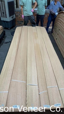 Painel de carvão de carvalho vermelho Quercus 0,5 mm Grau AA em estoque 100.000 m2